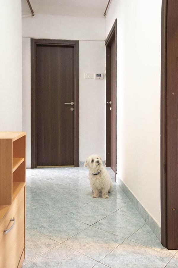 Cosy Apartment Hugo Осиек Екстериор снимка